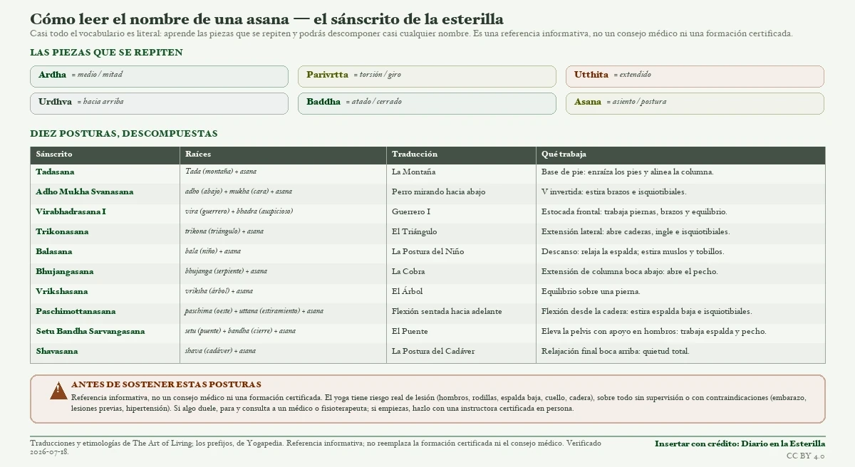 Decodificador del nombre en sánscrito de las asanas de yoga: los modificadores que más se repiten (Ardha, Parivrtta, Utthita, Urdhva, Baddha) y diez posturas descompuestas en sus raíces, con su traducción y qué zona del cuerpo trabaja, más una nota de seguridad.
